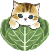 Kittens mofu_sand 2 25