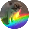 Kittens 26