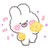 Perm Rabbit PongPong 30