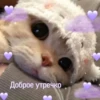 Доброе утречко
