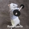Ratitas🐁🐭🩶 27