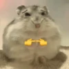 Ratitas🐁🐭🩶 28