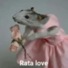 Ratitas🐁🐭🩶 29
