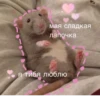мая сладкая лапочка я тибя люблю