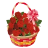 : Flowers 25