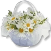 : Flowers 26