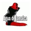Agua de jamaica