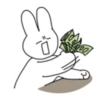 Emotional Rabbit! 29