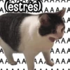 A (estres) AAA A A A AAA AAAA AA AA AA, ^AAA