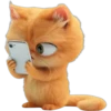 Gatitos Mix 🐱🐈 2 5