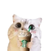 Michis random🐈🐈‍⬛ 6