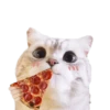 Michis random🐈🐈‍⬛ 7