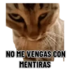 Memes clásicos gatito 😺🔥 5