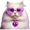 Gatitos Mix 🐱🐈 2 6