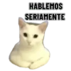 Memes clásicos gatito 😺🔥 6