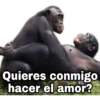 Quieres conmigo hacer el amor?