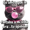 Animales frases meme😄 5