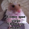 🧿Memes Pop 11😎🤣 7
