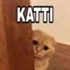 Meow Memes-2😼 7