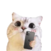Michis random🐈🐈‍⬛ 9