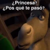 ¿Princesa? ¿Pos qué te pasó?