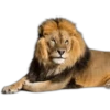 🐻🦓🦁Otorrinolaringólogo ❤️‍🔥🤤 12