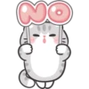 🐱🌟 MaRcUs CaT 🌟🐱 7