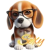 Perritos bonitos💞8🇵🇪Clásica 7