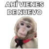 AHÍ VIENES DE NUEVO