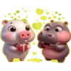 Amor Porcino💞1🇵🇪Clásica 10