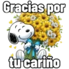 Gracias por tu carino