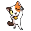Everyday Kashi Cats 1 5