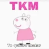 Peppa Pig Memes🐽💕 6