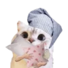 Michis random🐈🐈‍⬛ 11