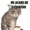 Memes clásicos gatito 😺🔥 9