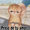 🧿Memes Pop 11😎🤣 8