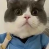 🧿Memes Pop 12😎🤣 9
