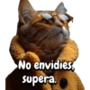 Animales frases meme😄 6