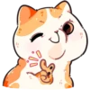Gatitos amorosos💞1🇵🇪Clásica 7