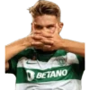 BETANO
