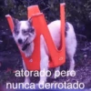 🐶🐱🐵 ANIMALITOS 🐵🐱🐶 7