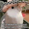 🐶🐱🐵 ANIMALITOS 🐵🐱🐶 8