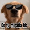 🧿Memes Pop 11😎🤣 11
