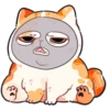 Gatitos amorosos💞1🇵🇪Clásica 10