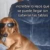 Animales cura depresión🦦 5