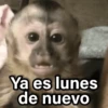 Ya es lunes de nuevo
