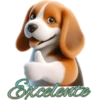 Perritos bonitos💞8🇵🇪Clásica 9