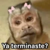 Ya terminaste?