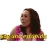 familia peluche 9