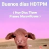 🐶🐱🐵 ANIMALITOS 🐵🐱🐶 9